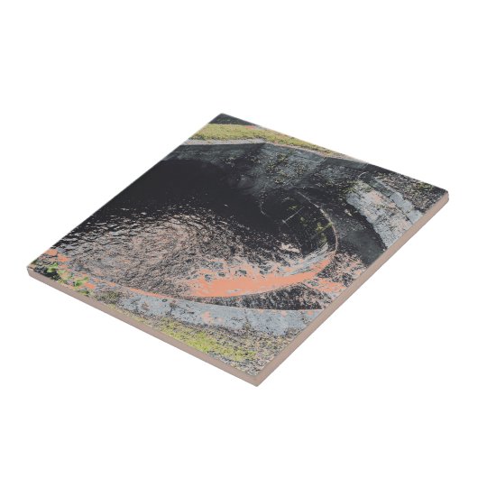 Een Oranje pool in Welshpool Tegeltje (Zijkant)