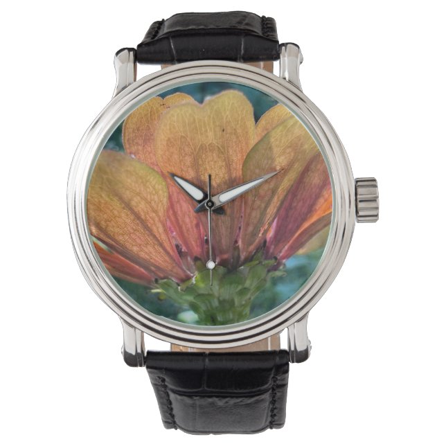 Een oranje zinnia met achtergrondverlichting horloge (Voorkant)