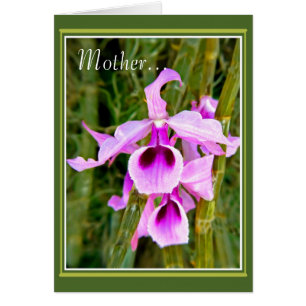 Een Orchid voor Moeder