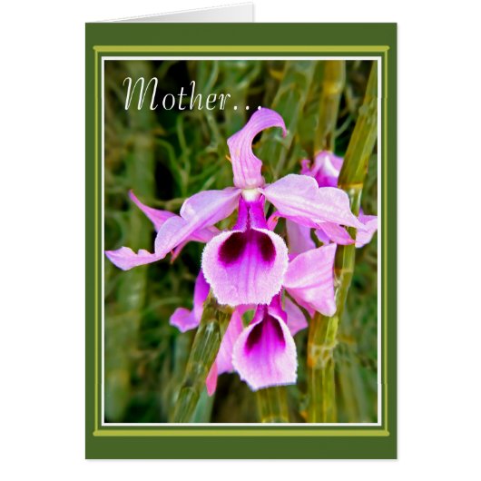 Een Orchid voor Moeder (Voorkant)