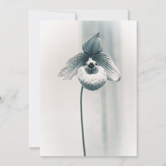 Een Orchidee Bloem Kaart (Voorkant)