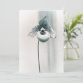 Een Orchidee Bloem Kaart (Staand voorkant)