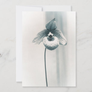 Een Orchidee Bloem Kaart