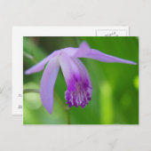 Een Orchifd voor jou! Briefkaart (Voorkant / Achterkant)