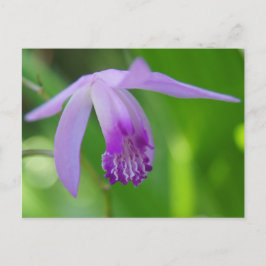 Een Orchifd voor jou! Briefkaart