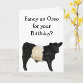Een Oreo fancy? Belted Galloway Koe Kaart (Gele Bloem)