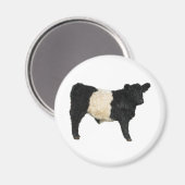 Een Oreo fancy? Belted Galloway Koe Magneet (Voorkant / Achterkant)