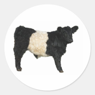 Een Oreo fancy? Belted Galloway Koe Ronde Sticker