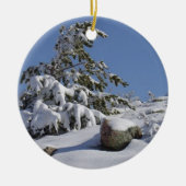 Een Ornament van de kerstboompijn in Colorado (Voorkant)