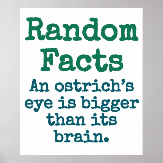 Een Ostrich's oog is groter - Trivia Feit. Poster (Voorkant)