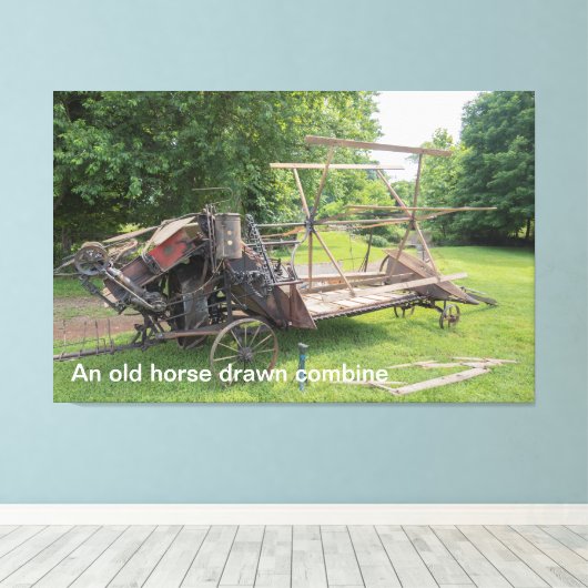 Een oud getekend paard combineert canvas afdruk (Insitu (Houten vloer))