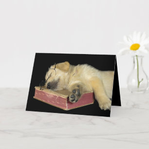 Een oud Golden Retriever boeken Kaart