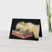 Een oud Golden Retriever boeken Kaart (Voorkant)