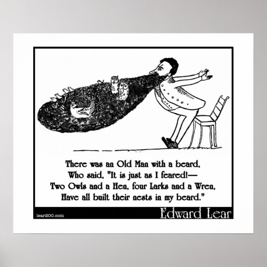 Een oud Man met een baard Poster (Voorkant)