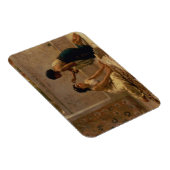 Een oude aangepaste magneet (Rechterzijde)