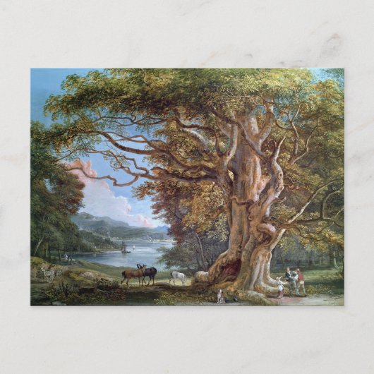 Een oude beukenboom, 1794 (olie op canvas) briefkaart (Voorkant)