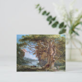 Een oude beukenboom, 1794 (olie op canvas) briefkaart (Staand voorkant)