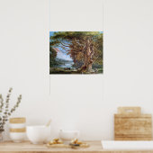 Een oude beukenboom, 1794 (olie op canvas) poster (Keuken)