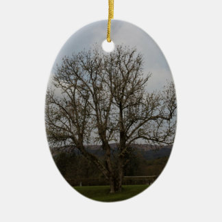 Een oude boom in het midden van speelplaats en tui keramisch ornament