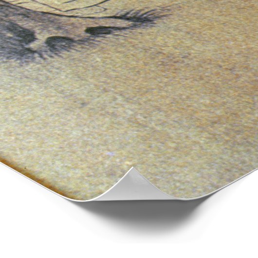 Een oude Chinese dichter Poster (Hoek)