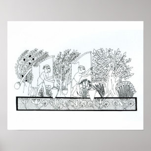 Een oude Egyptische tuin (graving) (foto) Poster