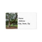 Een oude eikenboom etiket (Voorkant)