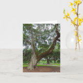 Een oude eikenboom kaart (Gele Bloem)