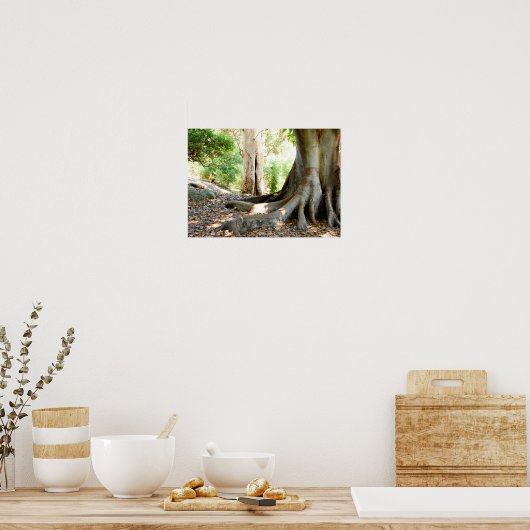 Een oude grote boom poster (Keuken)