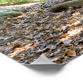 Een oude grote boom poster (Hoek)