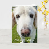 Een oude humor-hondenneus krijgen kaart (Gele Bloem)