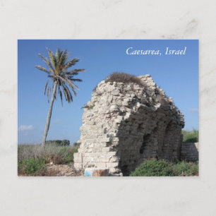 Een oude muur met een Palm, Caesarea, Israël Briefkaart
