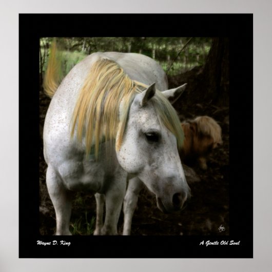 Een oude soul Poster (Voorkant)