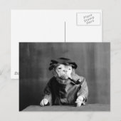 Een oude Zee hond: 1905 Briefkaart (Voorkant / Achterkant)