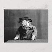 Een oude Zee hond: 1905 Briefkaart (Voorkant)