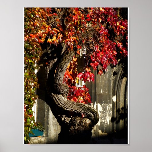 Een ouder worden poster (Voorkant)