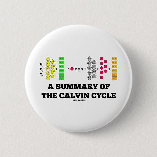 Een overzicht van de calvin-cyclus (fotosynthese) ronde button 5,7 cm (Voorkant)
