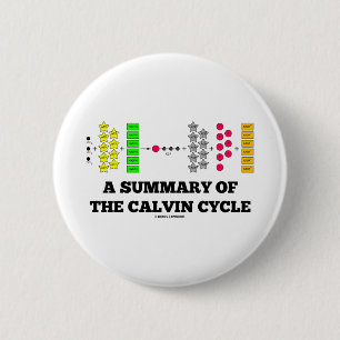 Een overzicht van de calvin-cyclus (fotosynthese) ronde button 5,7 cm