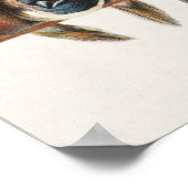 Een overzicht van de  finch van vogels, 1880 (Hoek)