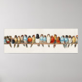 Een overzicht van de  finch van vogels, 1880 (Voorkant)