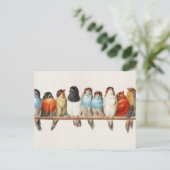 Een overzicht van de  finch van vogels, 1880 briefkaart (Staand voorkant)