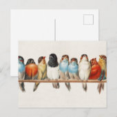 Een overzicht van de  finch van vogels, 1880 briefkaart (Voorkant / Achterkant)