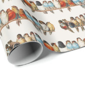 Een overzicht van de  finch van vogels, 1880 cadeaupapier (Rol Hoek)