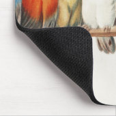 Een overzicht van de  finch van vogels, 1880 muismat (Hoek)