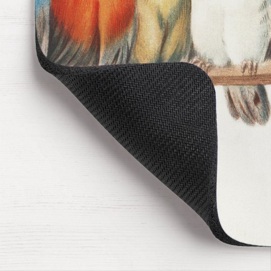 Een overzicht van de finch van vogels, 1880 muismat (Hoek)