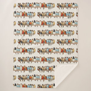 Een overzicht van de  finch van vogels, 1880 sherpa deken