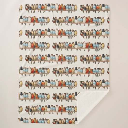 Een overzicht van de  finch van vogels, 1880 sherpa deken (Voorkant)