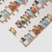 Een overzicht van de  finch van vogels, 1880 tissuepapier (Detail)