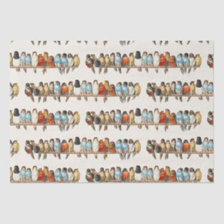 Een overzicht van de  finch van vogels, 1880 tissuepapier