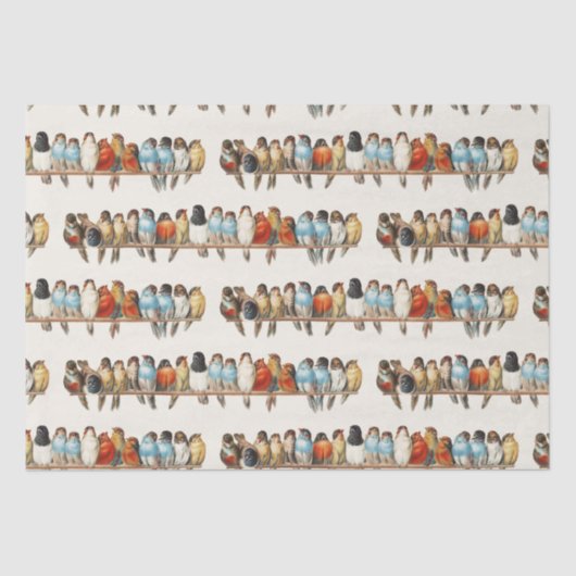 Een overzicht van de  finch van vogels, 1880 tissuepapier (Voorkant)