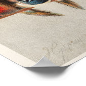 Een overzicht van de vogelstand  illustratie (Hoek)